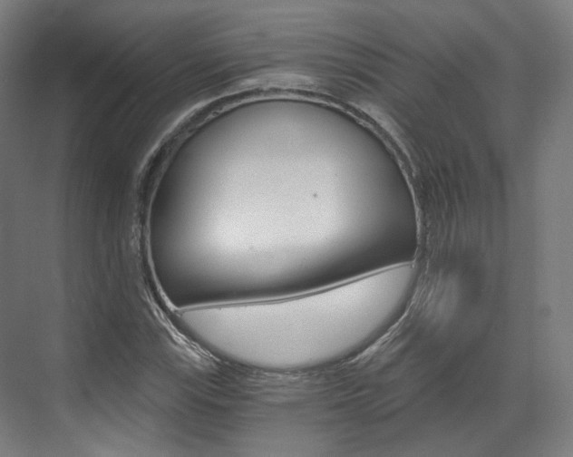 X0000073491115200607310910