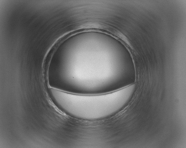 X0000073491116200607310910
