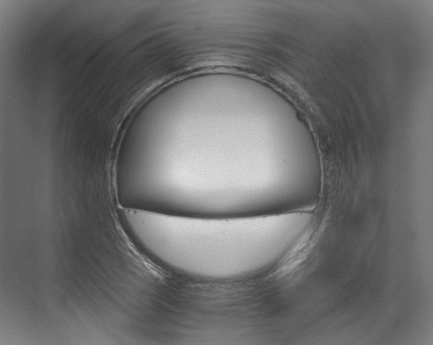 X0000073491121200607310910