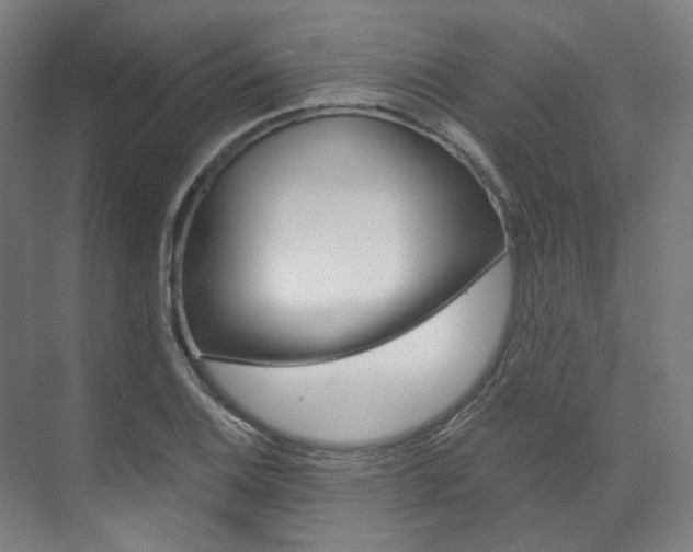 X0000073491124200607310910