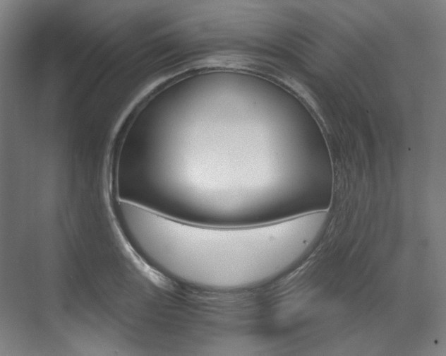 X0000073491131200607310910