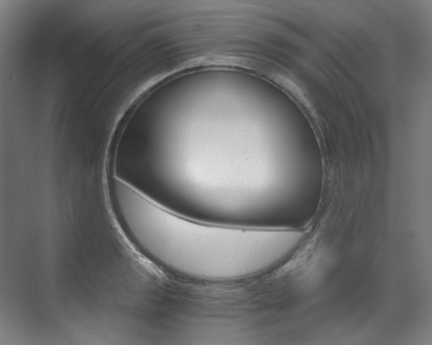 X0000073491133200607310910