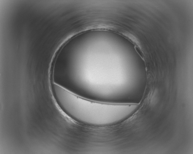X0000073491135200607310910