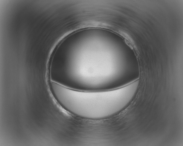 X0000073491136200607310910