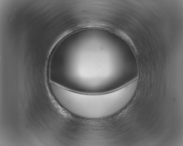 X0000073491138200607310910