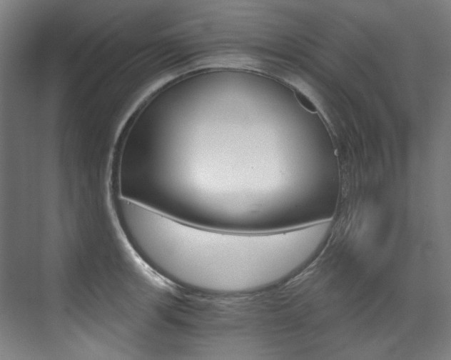 X0000073491139200607310910