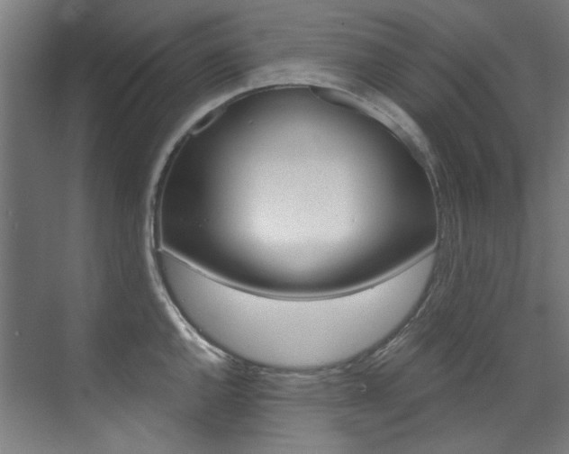 X0000073491144200607310910