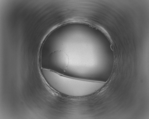 X0000073491146200607310910
