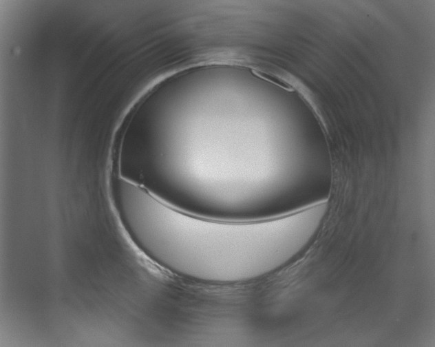 X0000073491147200607310910