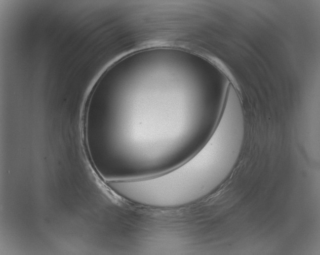 X0000073491148200607310910
