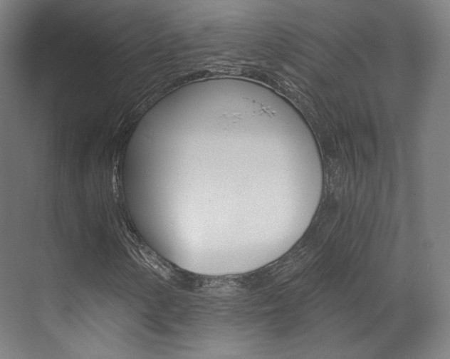 X0000073491154200607310909