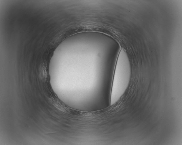 X0000073491155200607310909