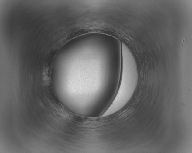 X0000073491156200607310909