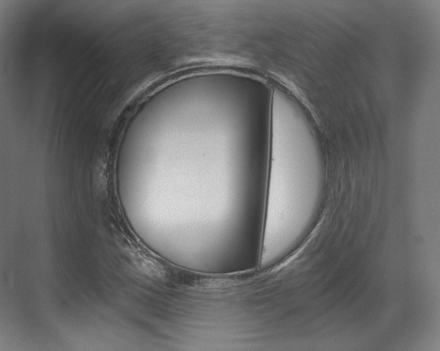 X0000073491163200607310909