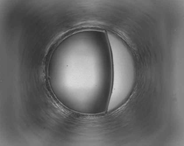 X0000073491164200607310909