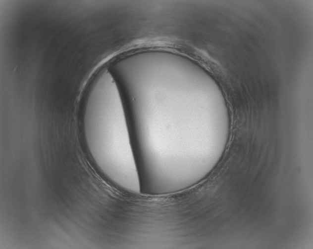 X0000073491166200607310909