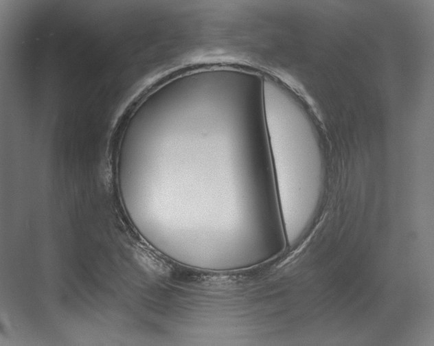 X0000073491167200607310909