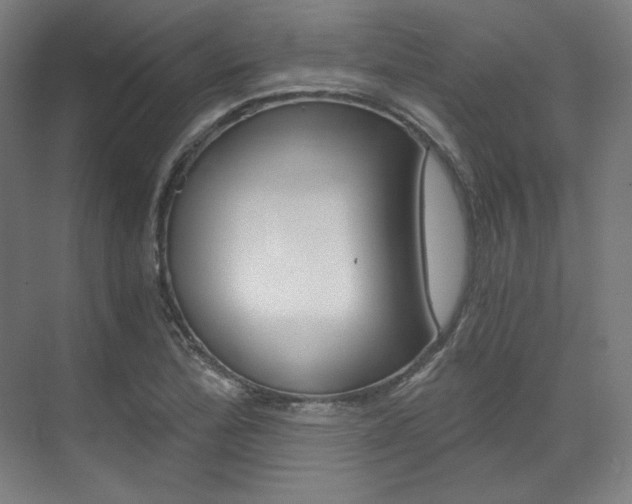 X0000073491172200607310909