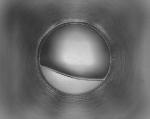 X0000073491173200607310909