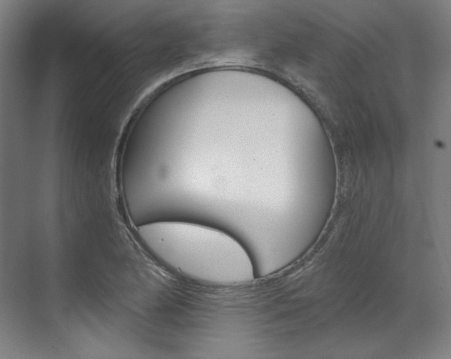 X0000073491174200607310909