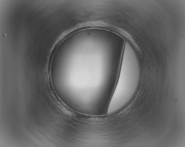 X0000073491176200607310909