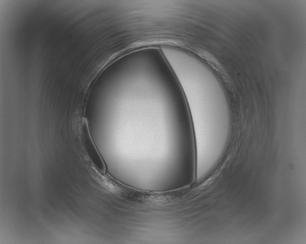 X0000073491177200607310909