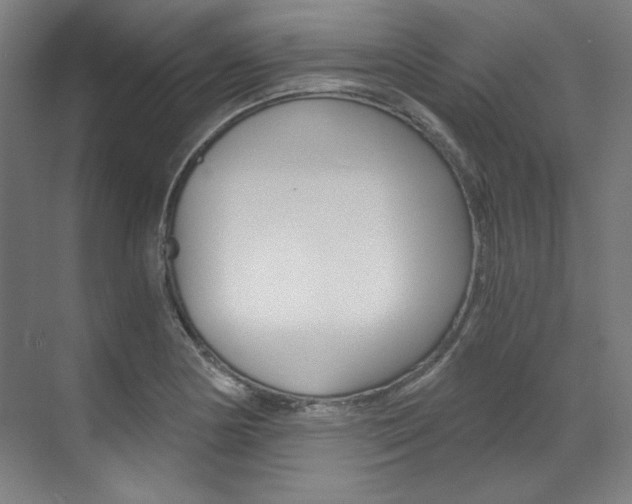 X0000073491178200607310909