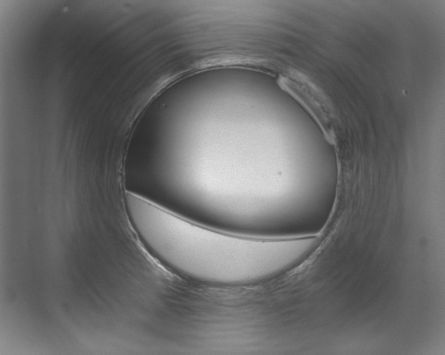 X0000073491185200607310909
