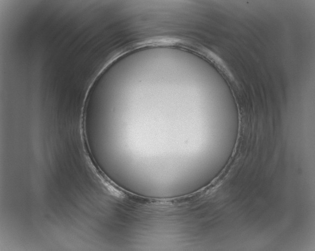 X0000073491186200607310909