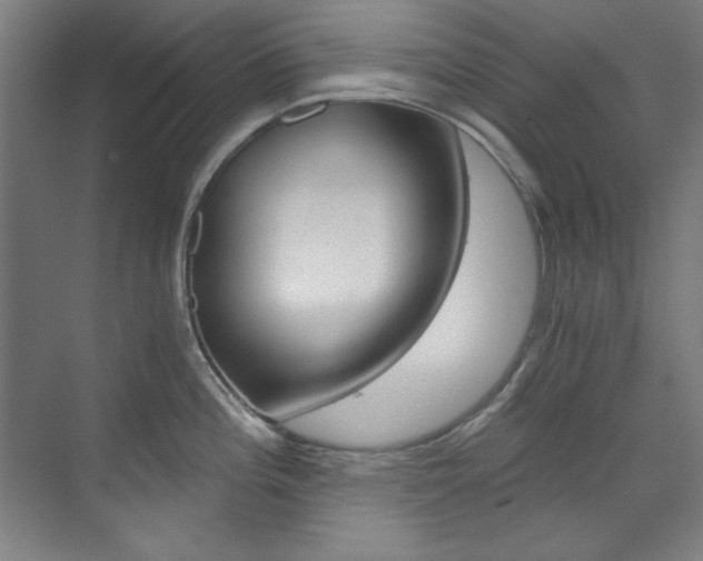 X0000073491196200607310909
