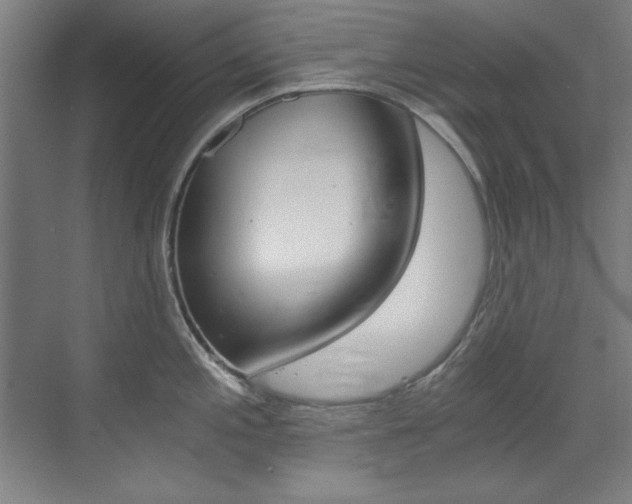 X0000073491197200607310909