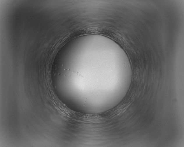 X0000073491201200607310908