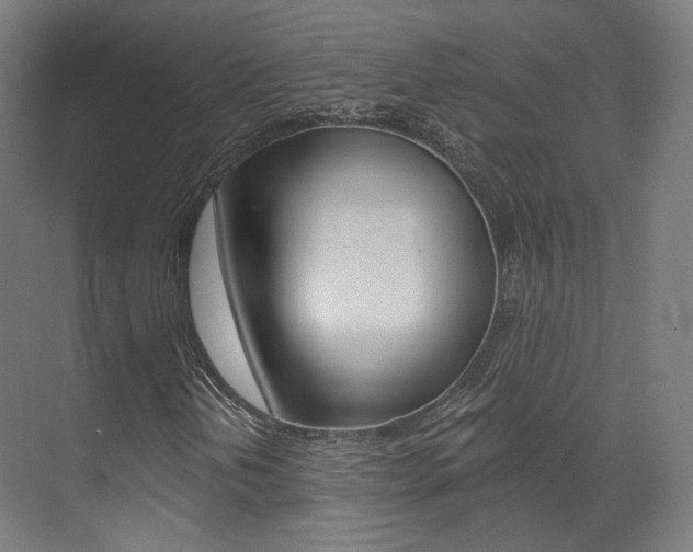 X0000073491202200607310908
