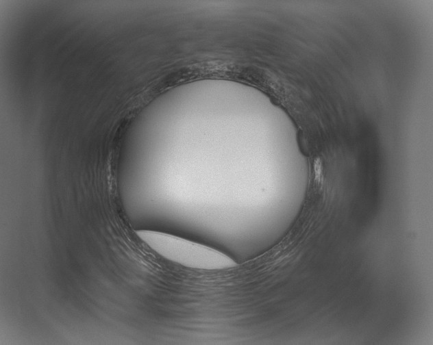 X0000073491203200607310908