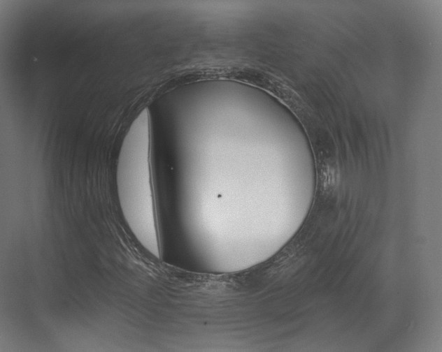 X0000073491204200607310908