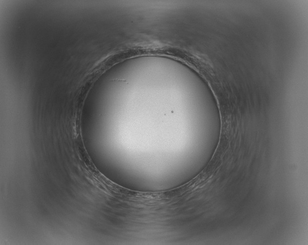 X0000073491205200607310908