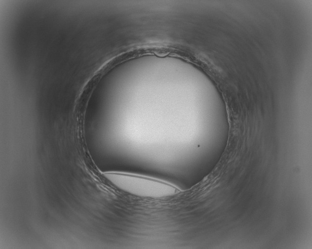X0000073491208200607310908
