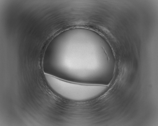 X0000073491209200607310908
