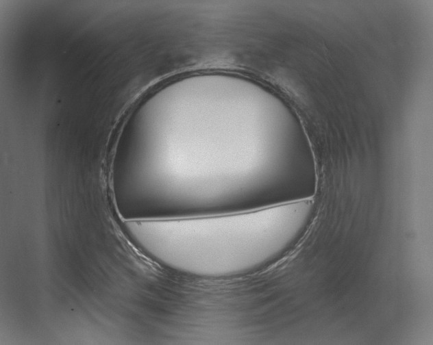 X0000073491212200607310908
