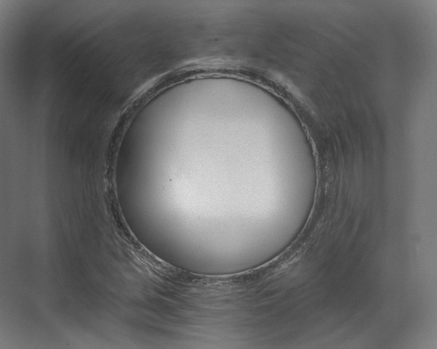 X0000073491213200607310908