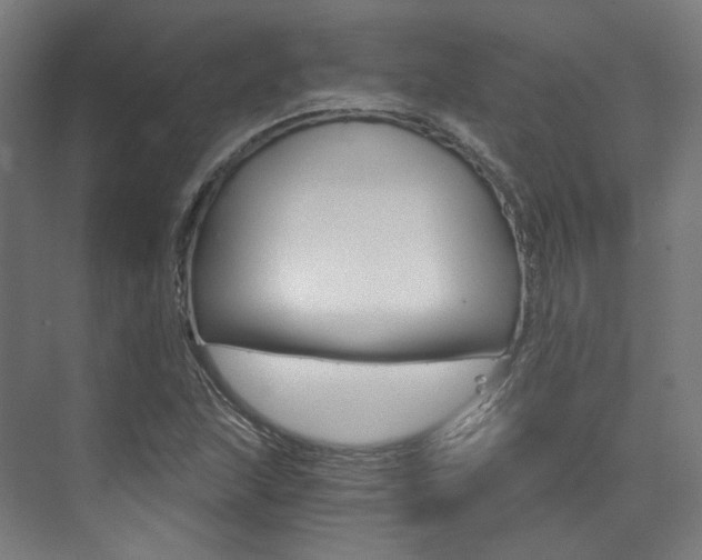 X0000073491215200607310908