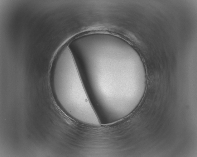 X0000073491216200607310908