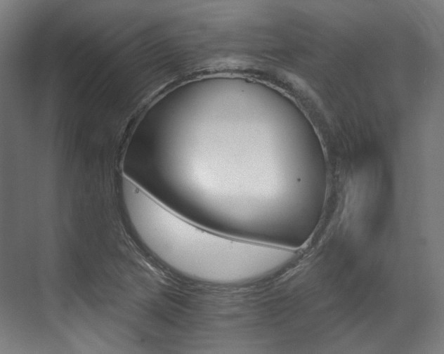 X0000073491217200607310908