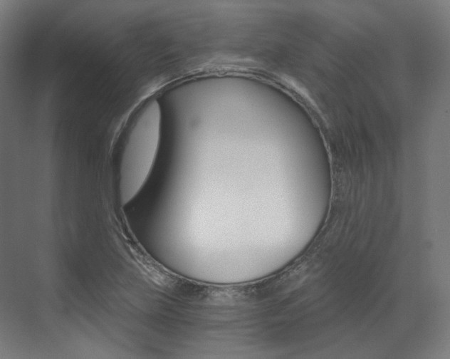 X0000073491219200607310908