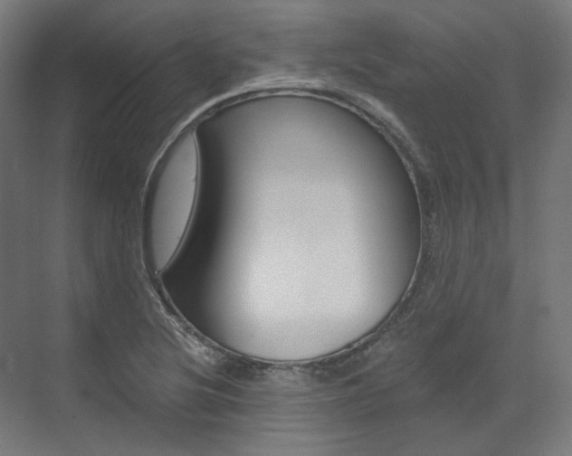 X0000073491220200607310908