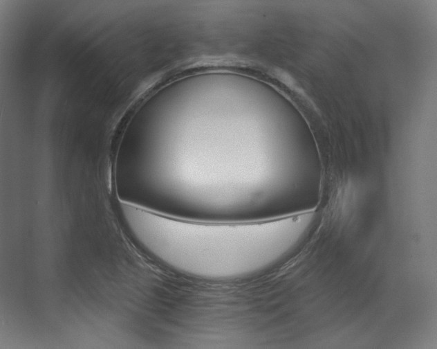 X0000073491221200607310908