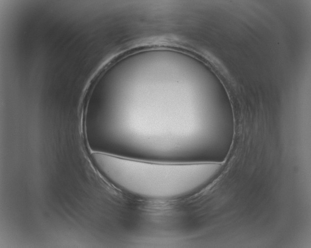X0000073491224200607310908