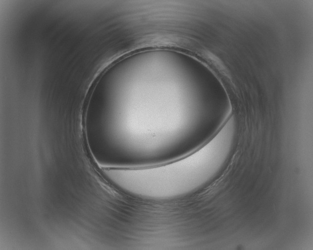 X0000073491226200607310908
