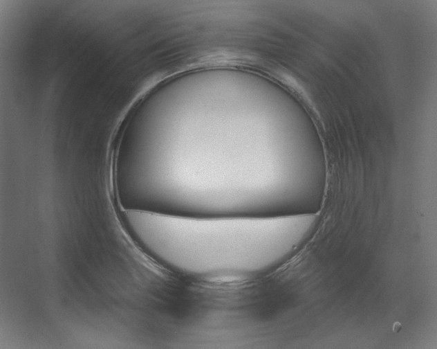 X0000073491227200607310908