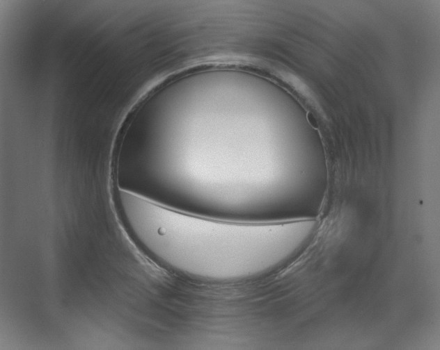 X0000073491229200607310908